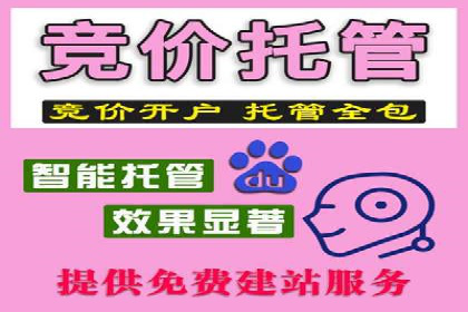 SEM竞价托管：企业业绩提升案例